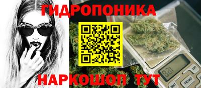 PSILOCYBIN Янаул