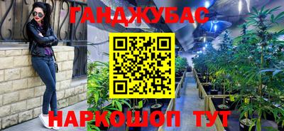 PSILOCYBIN Янаул