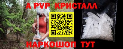 a pvp Ярославль