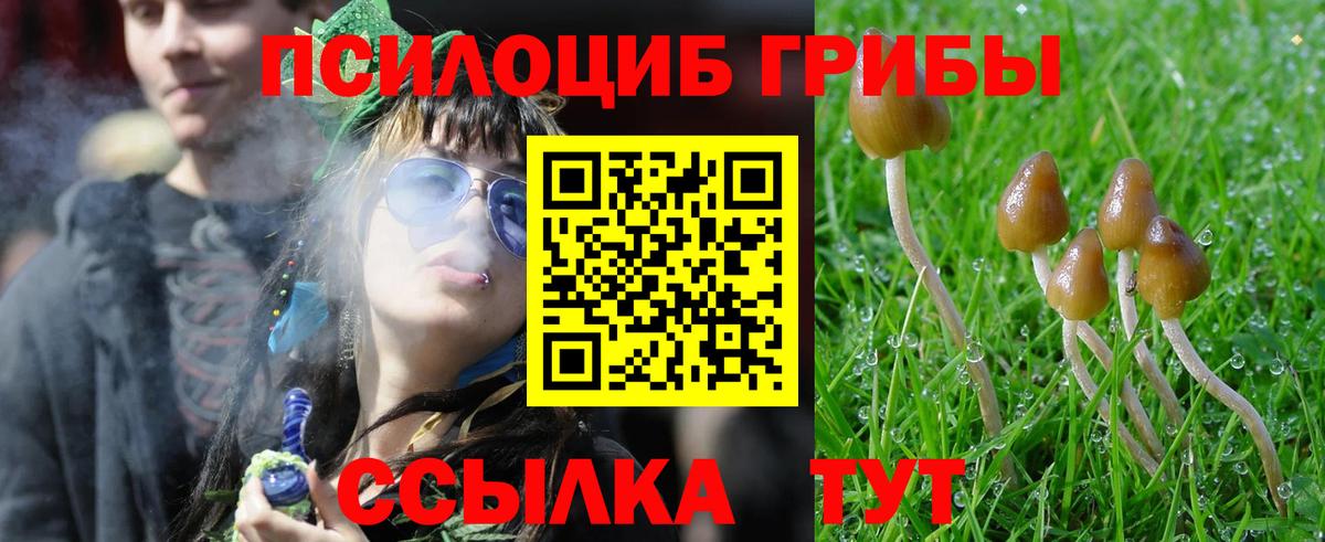 где купить наркоту  Галлюциногенные грибы Cubensis  Вход с VPN  Галлюциногенные грибы Magic Shrooms  Рязань 